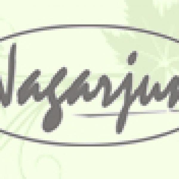 Amrit Bhallatak Avleh