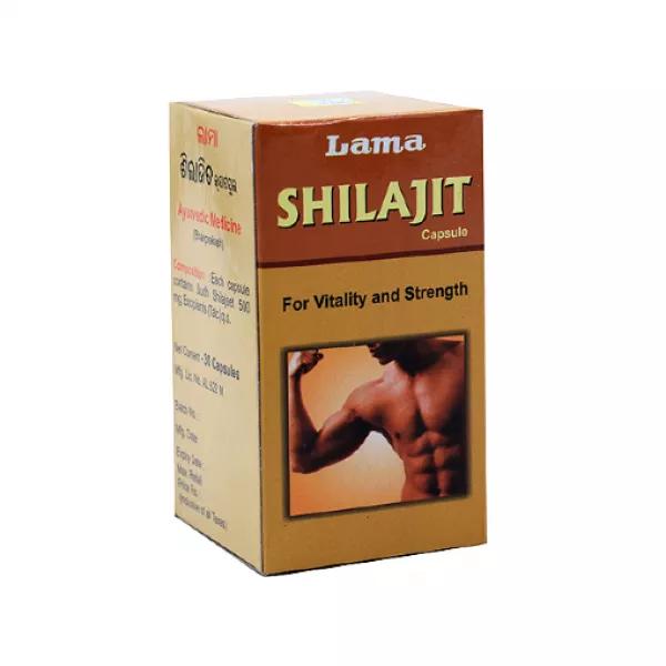 Shilajit Capsule